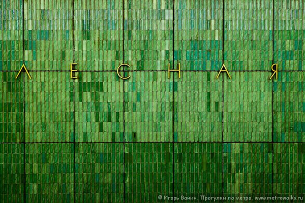 091218-1059912.jpg (227.1 КБ) 8503 просмотра Лесная. Фрагмент путевой стены. Вынос мозга :-). Декабрь 2009.