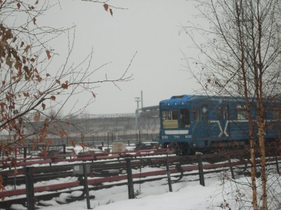 IMGP0085.JPG.JPG