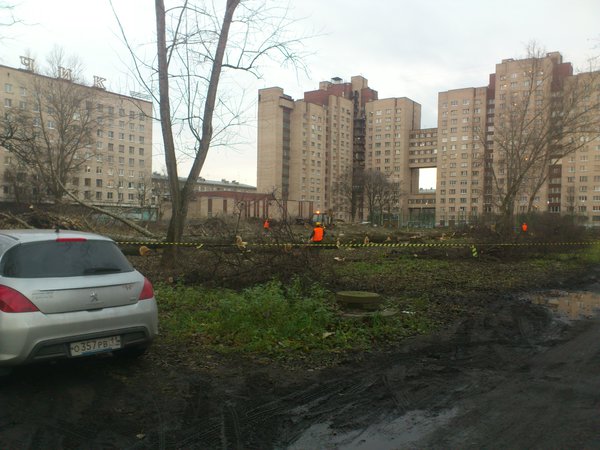 DSC_0219.jpg (2.25 МБ) 9815 просмотров В сторону Новостроек уже одни завалы