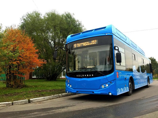 avtobus.jpg