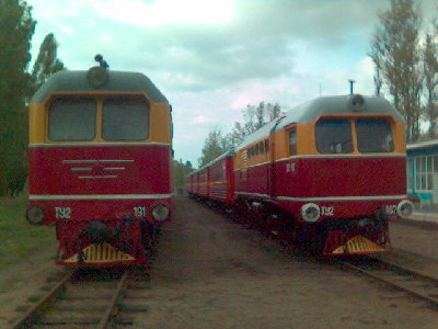 Действующие локомотивы ТУ2-167 и ТУ2-191 на станции Озёрная, МОЖД