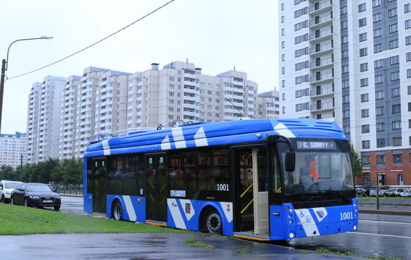 electrobus.jpg