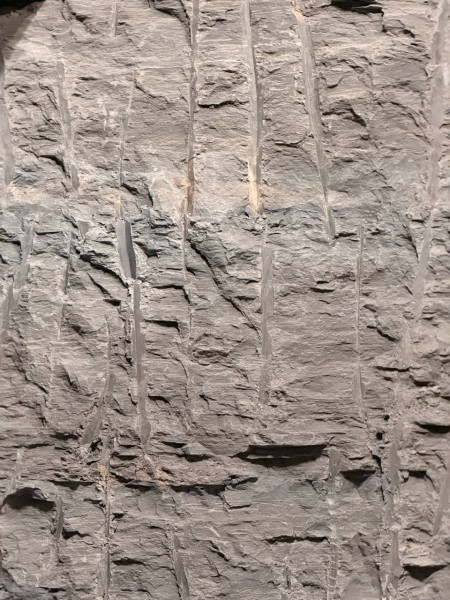 5204387154933520108.jpg